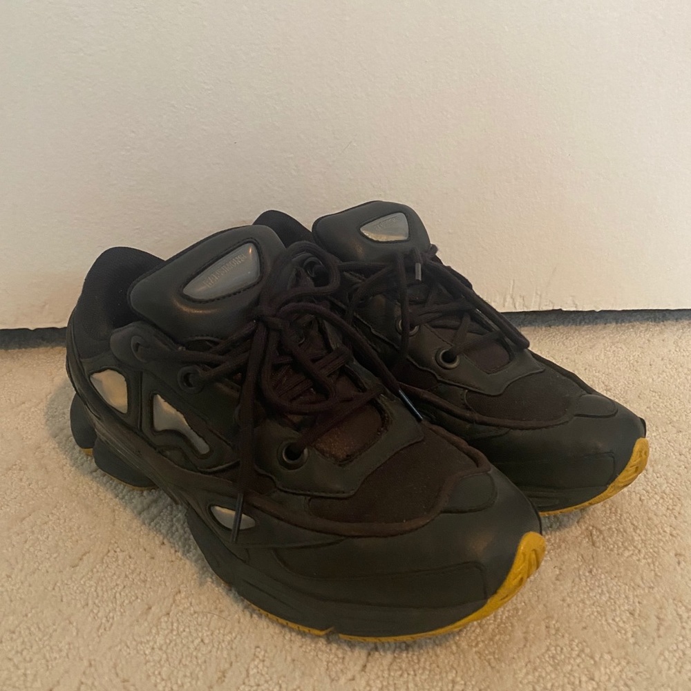 RAF simons X Adidas Ozweego 3